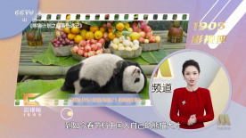 甜蜜的性别关系